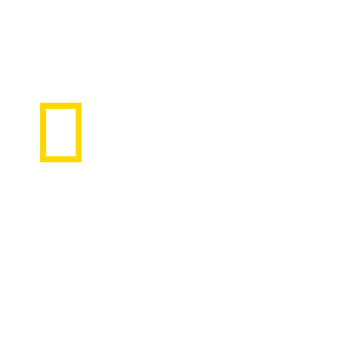 National Geographic Wild HD